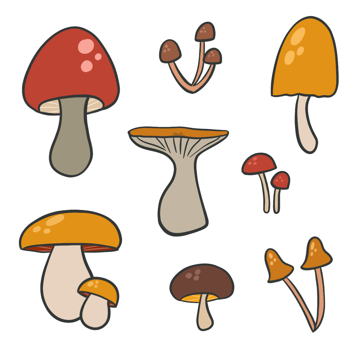 Variations
